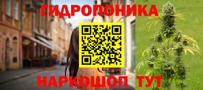 крисы Апшеронск