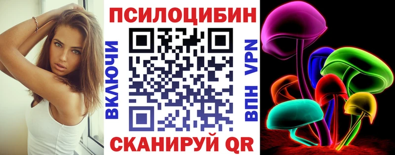 ссылка на мегу как войти Балашиха Псилоцибиновые грибы Psilocybe дарнет шоп