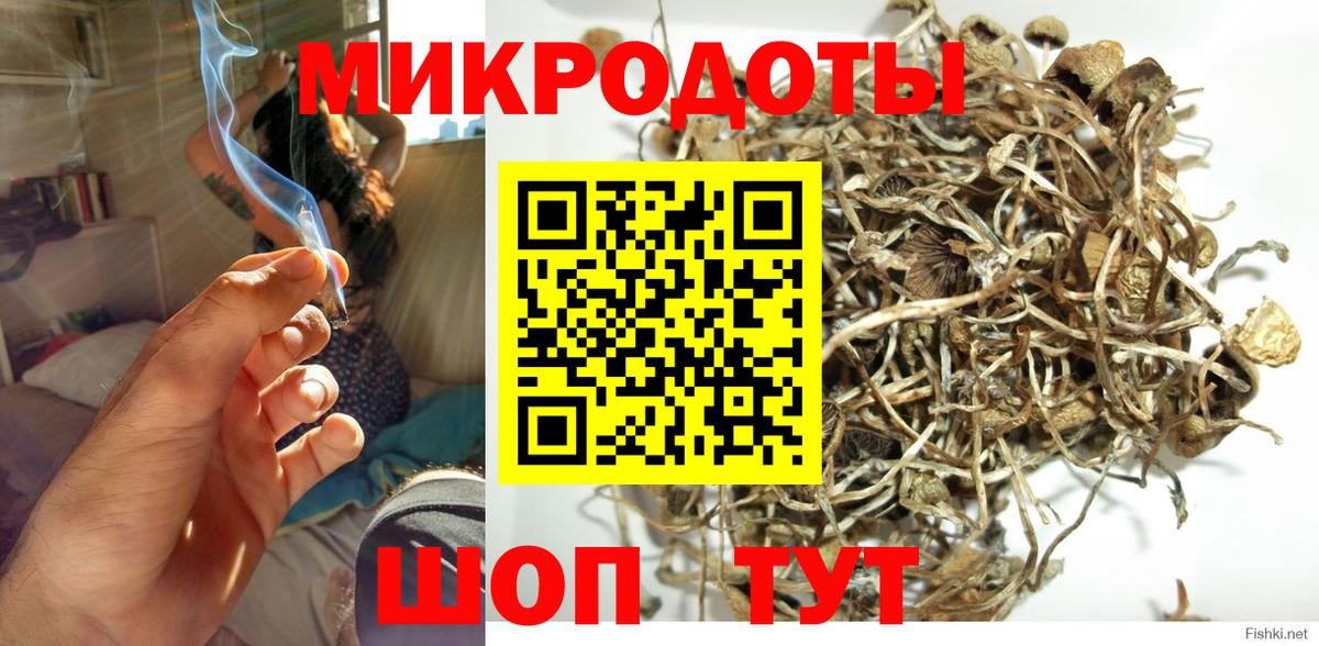 Балашиха  Псилоцибиновые грибы Cubensis  Вход с VPN  Галлюциногенные грибы Psilocybine cubensis 