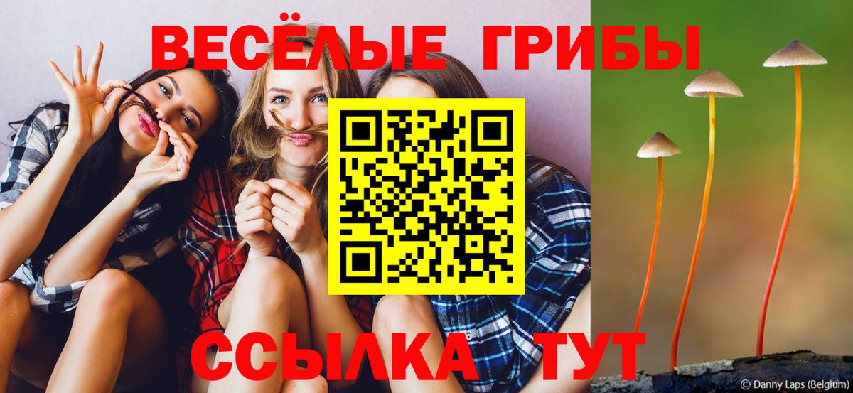 Галлюциногенные грибы Magic Shrooms  Балашиха 