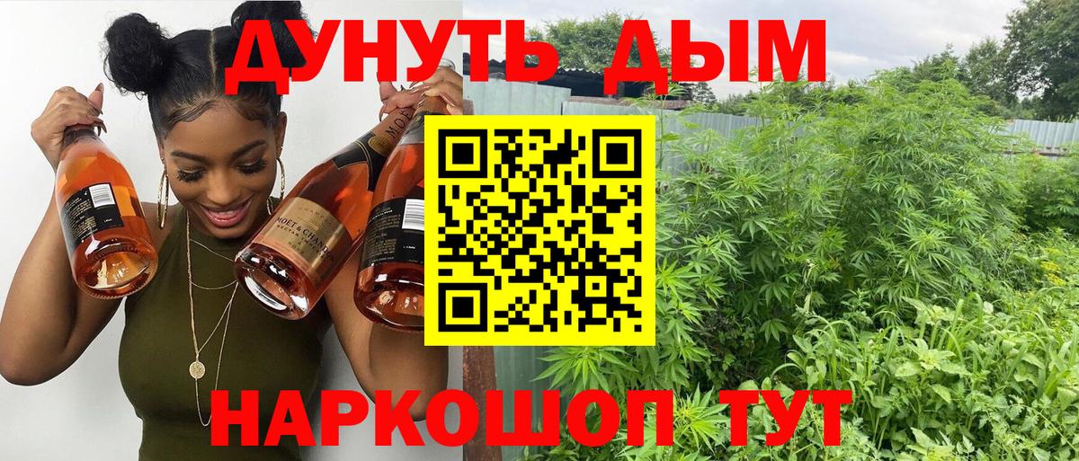 Канабис конопля  Каннабис индика  Вход с VPN  Балашиха 
